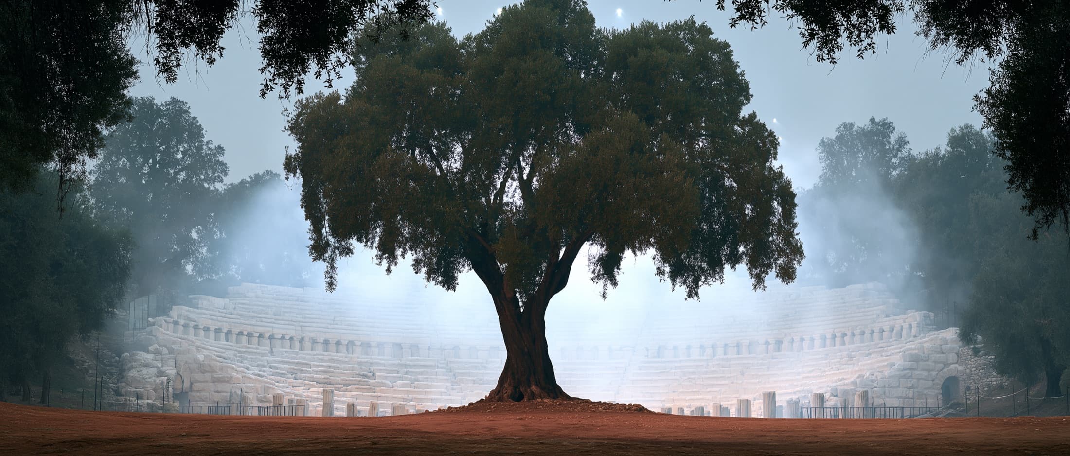 An ancient stone amphitheater at dawn, an olive tree growing at its center.