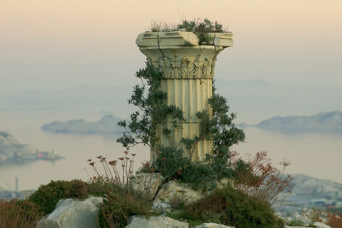 A marble column fragment overgrown with olive, hills and water hazy behind it.